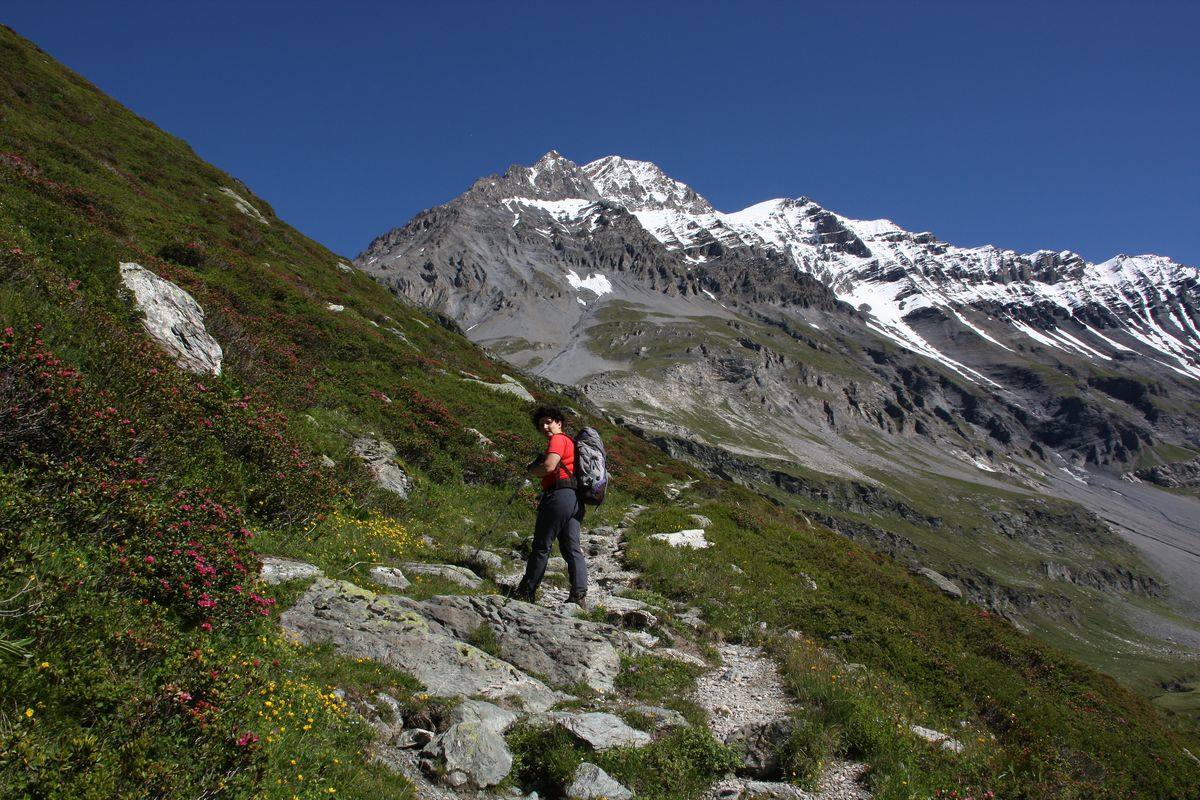Col de la Vanoise