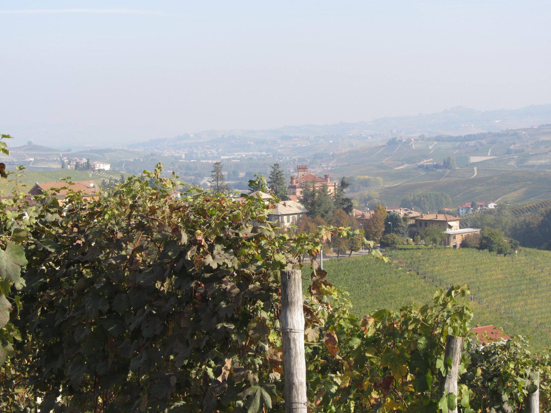 Barolo