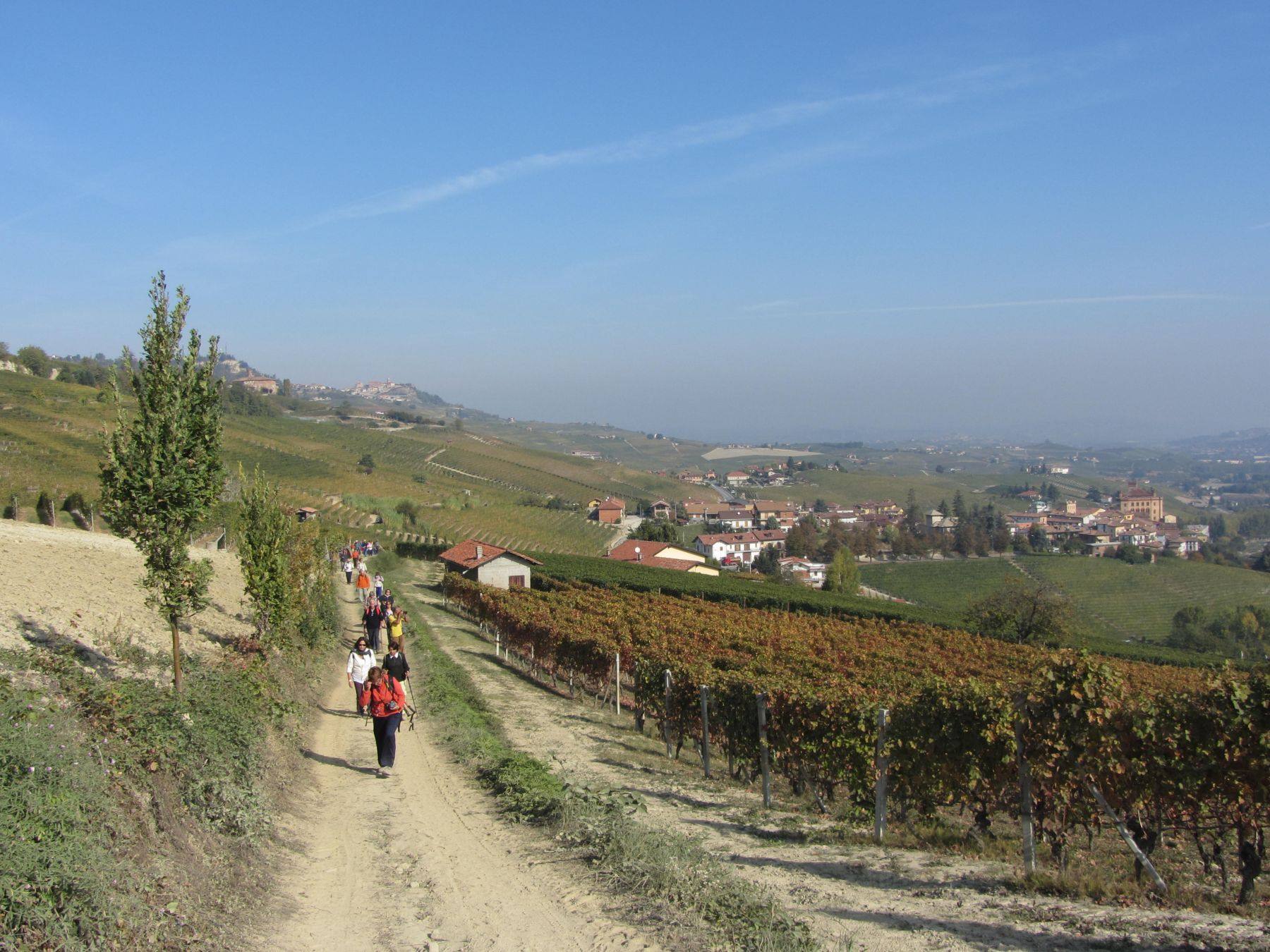 Langhe