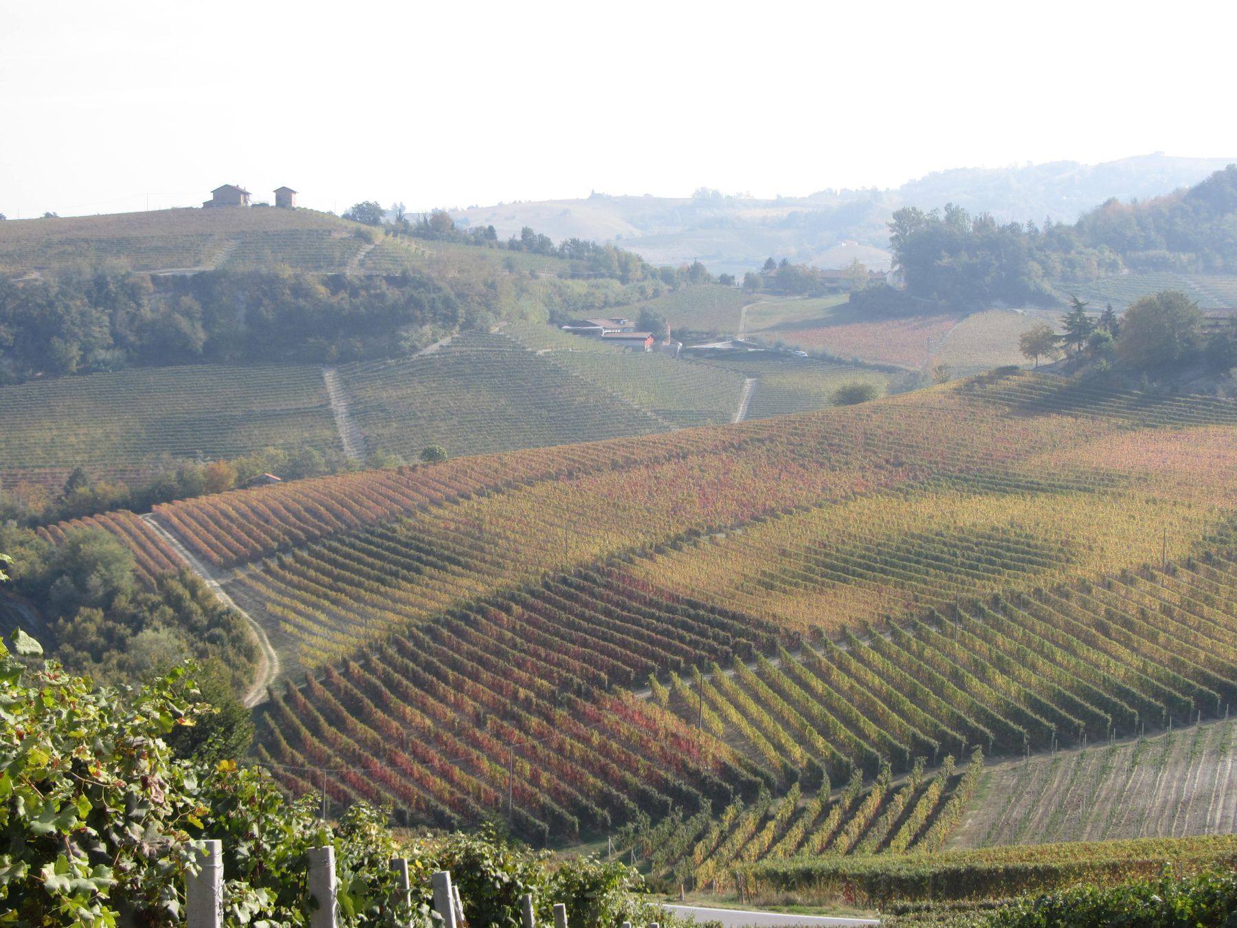 Langhe