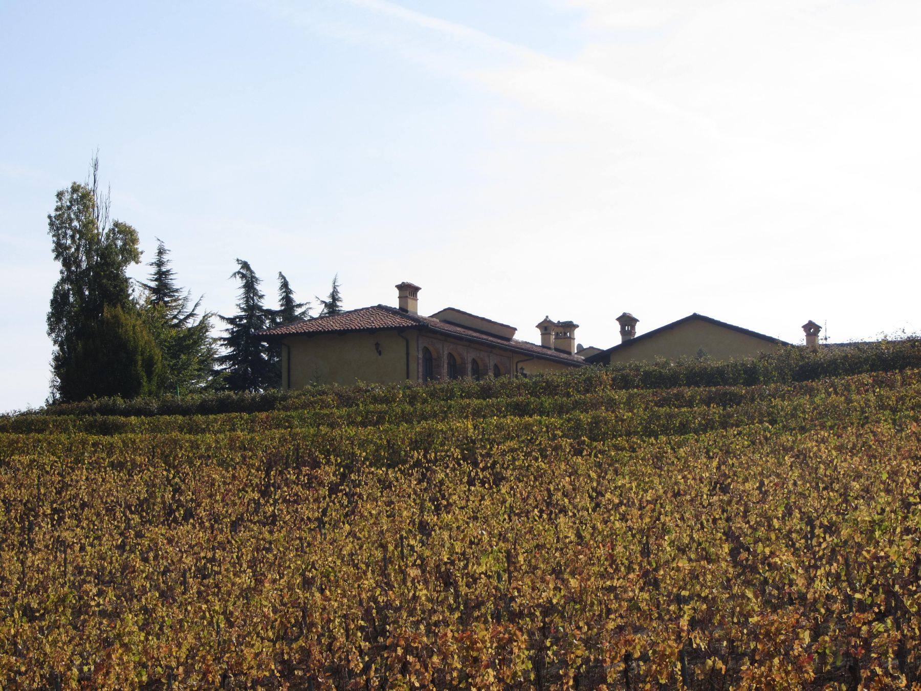 Langhe