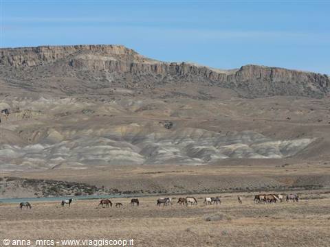 Panorama patagonico lungo la ruta 40