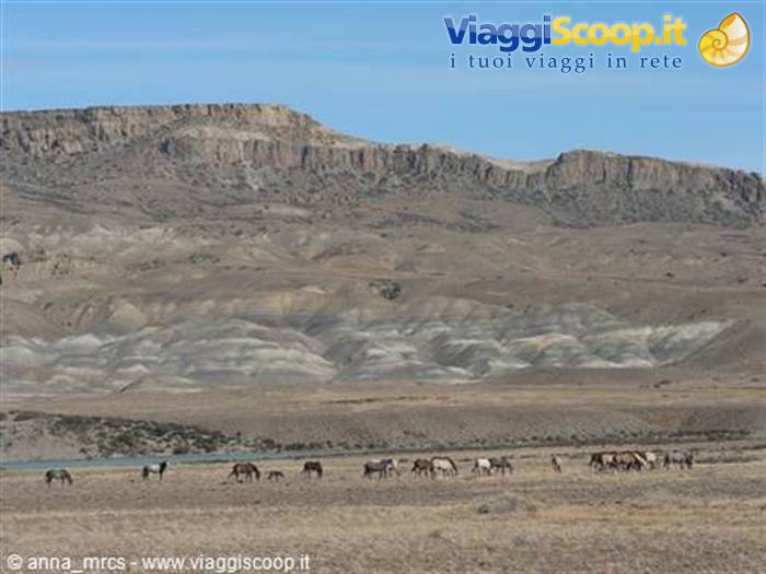Panorama patagonico lungo la ruta 40