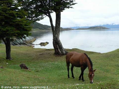 Parque Nacional Tierra del Fuego