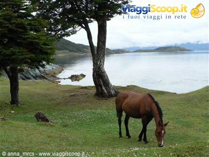 Parque Nacional Tierra del Fuego