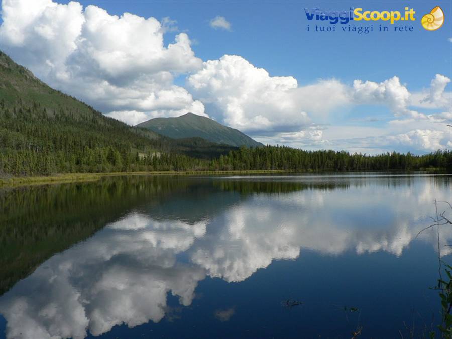 Lake Creek - Yukon (Canada)