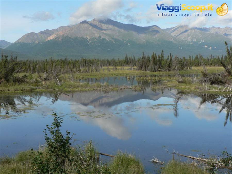 Lungo Nabesna Road - Wrangell St Elias National Park