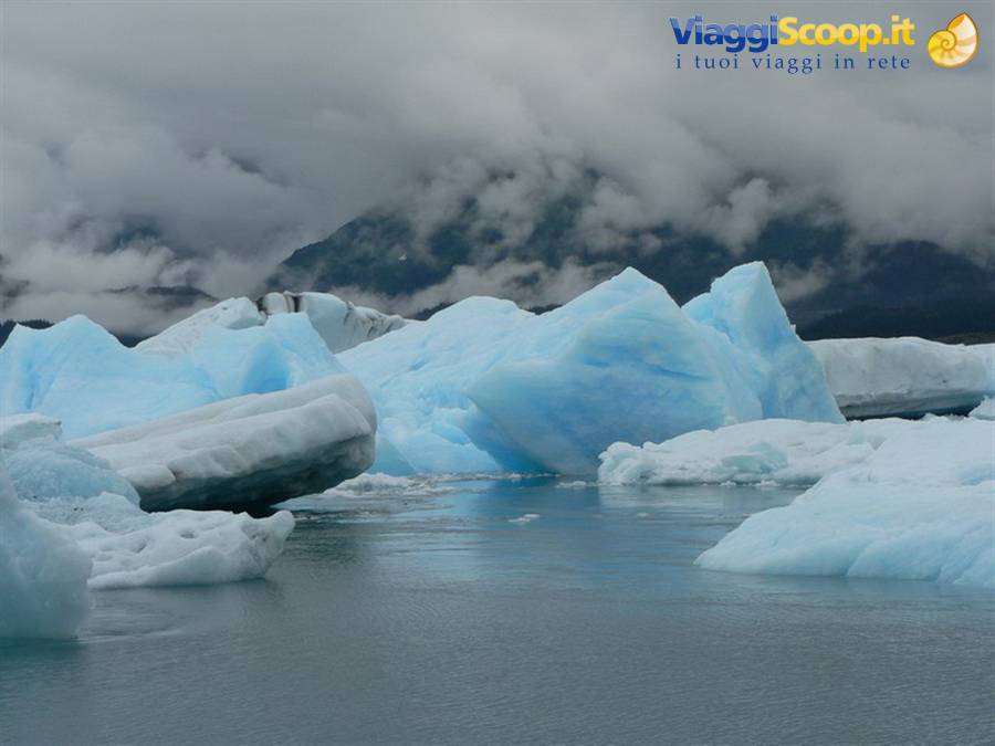 Icebergs - Prince William Sound