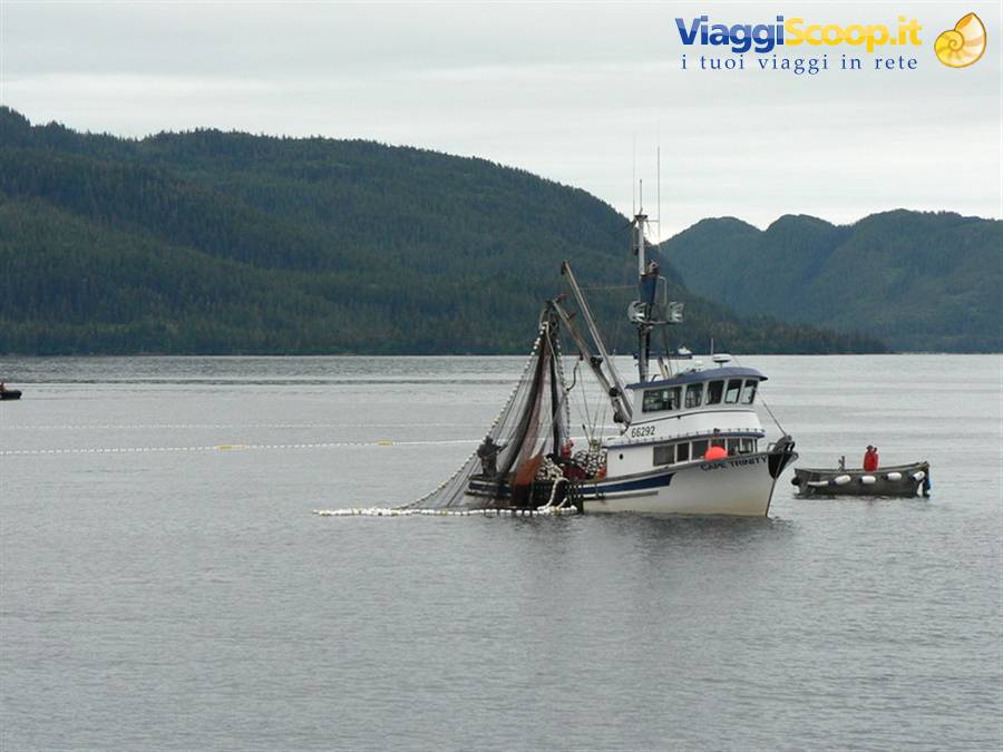 Pescherecci nel Prince William Sound
