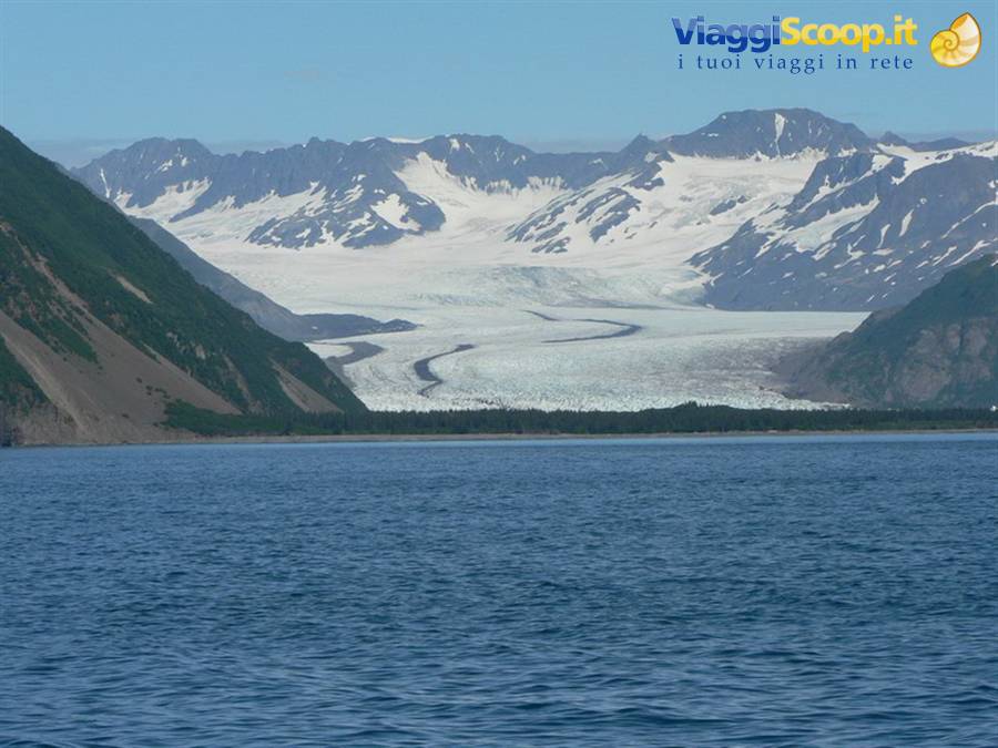 Bear Glacier - Kenai Fjords National Park