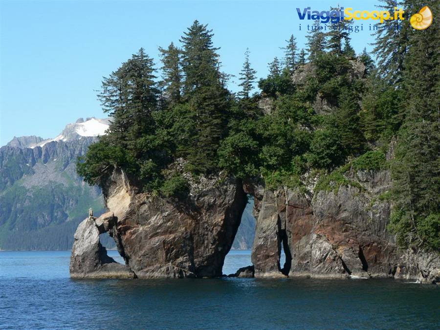 Resurrection Bay - Kenai Fjords National Park