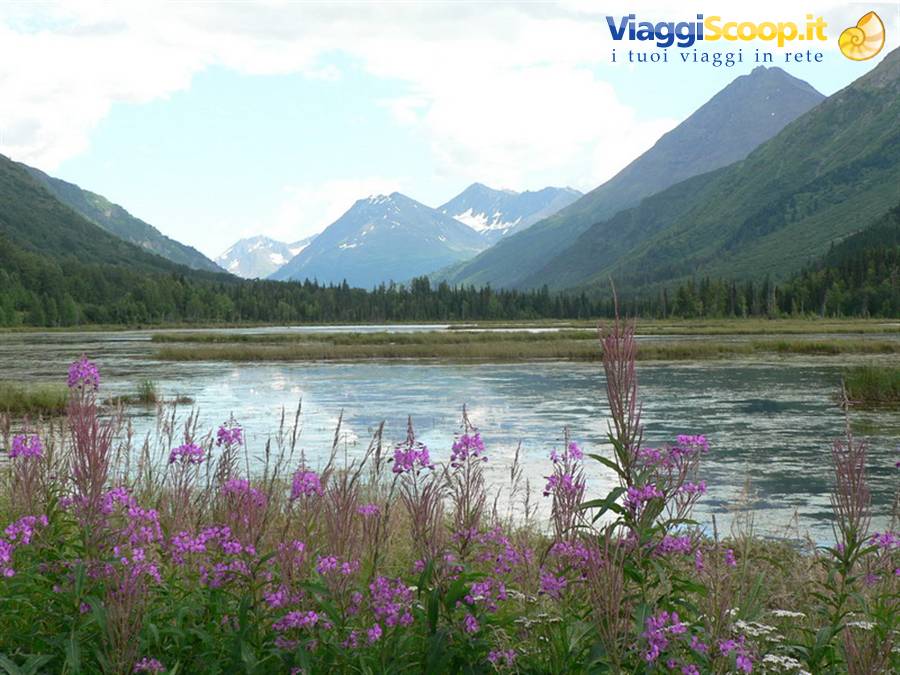 Kenai Peninsula - lungo la Sterling Highway