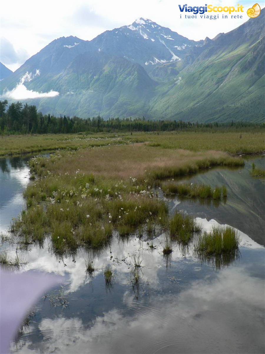 Beaver Dam - Eagle River