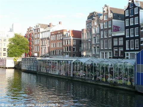 Amsterdam - Bloemenmarket