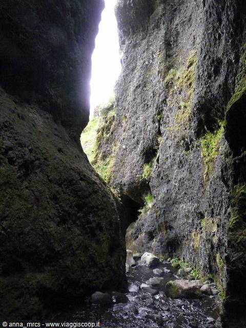 Raudfeldargjà