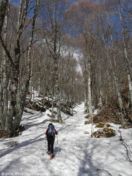 10 Verso Passo dei Monaci