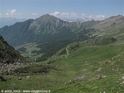 4 luglio
