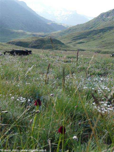 11-12 Luglio