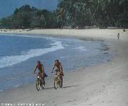 Sulle spiagge di Freetown