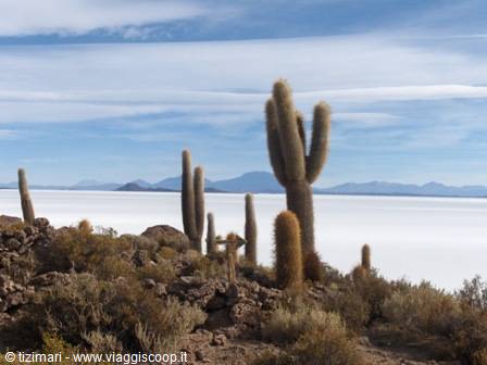 Isla del Pescado, Salar de Uyuni