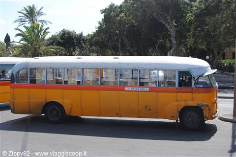 I mitici bus