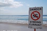 Manly beach