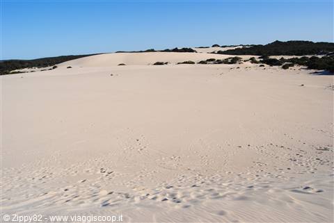 Little Sahara