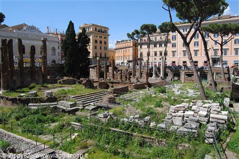 L'Area Sacra di Largo di Torre Argentina