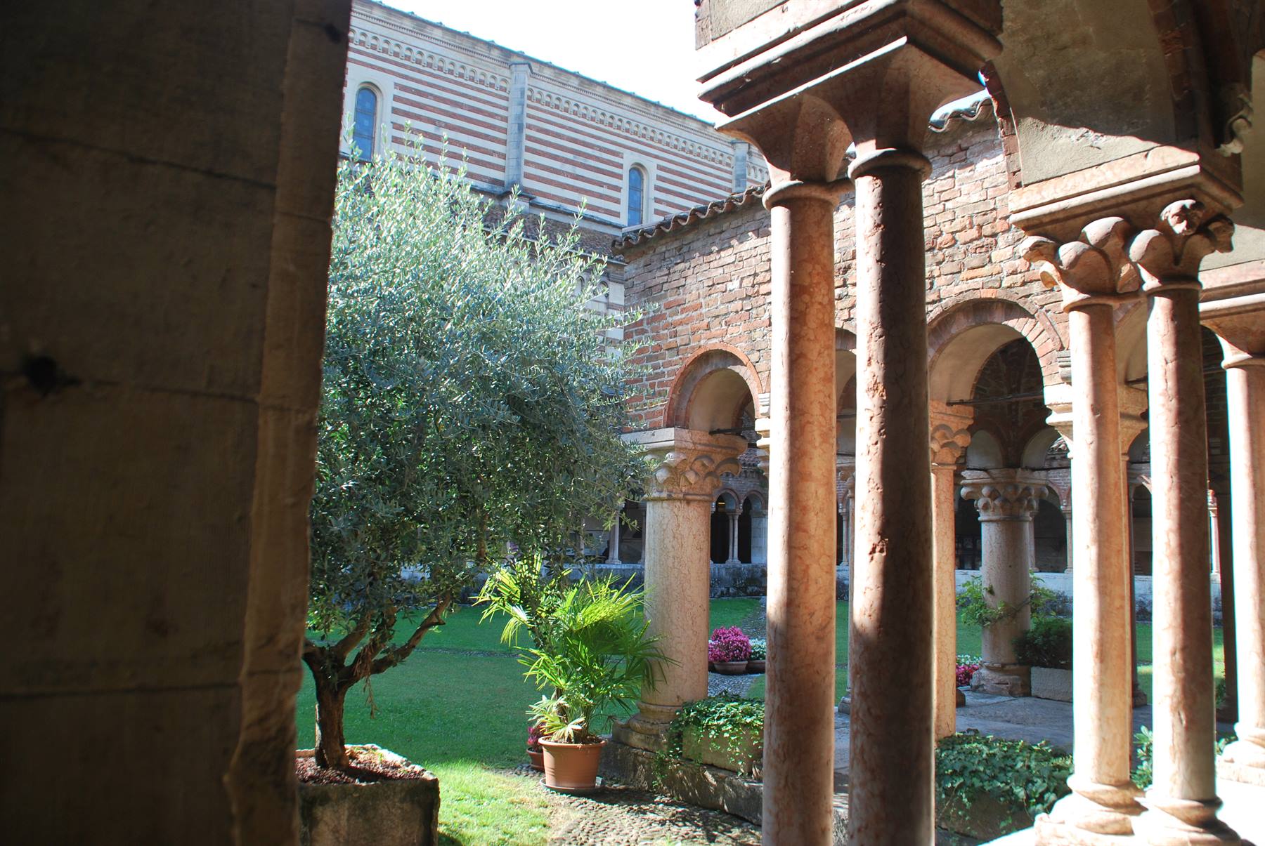 Chiostro di San Zeno a Verona, colonne di marmo veronese tra verde e luce