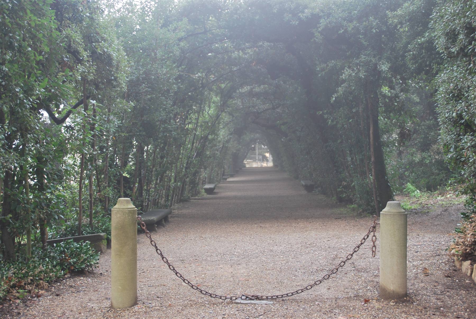 I giardini dei Boboli