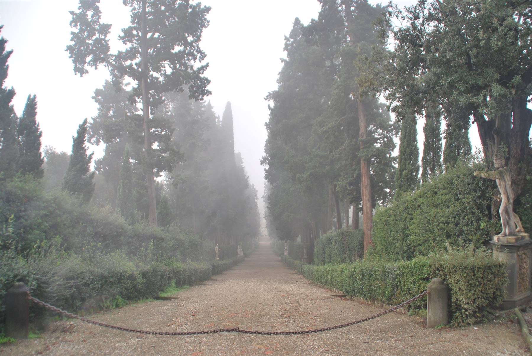 I giardini dei Boboli