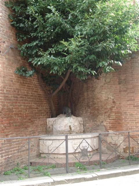 La contrada della Foresta