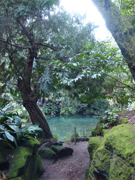 Angoli nascosti del giardino all'inglese