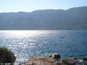 Vassiliki