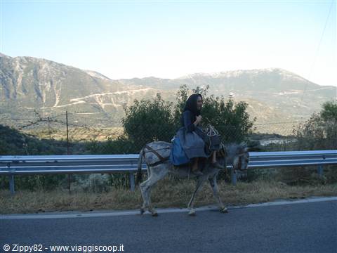 Efficenti mezzi di trasporto