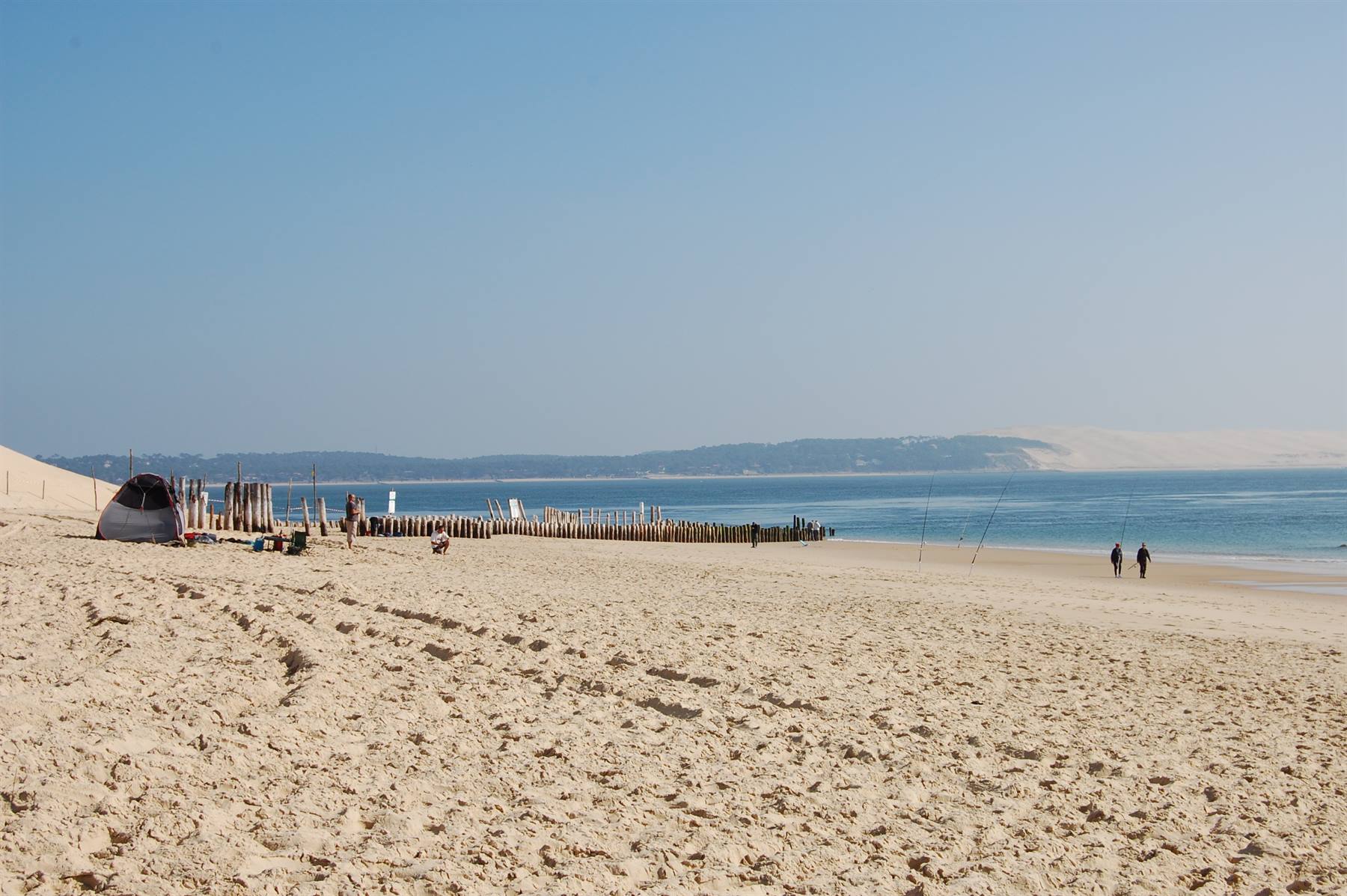 CAP FERRET
