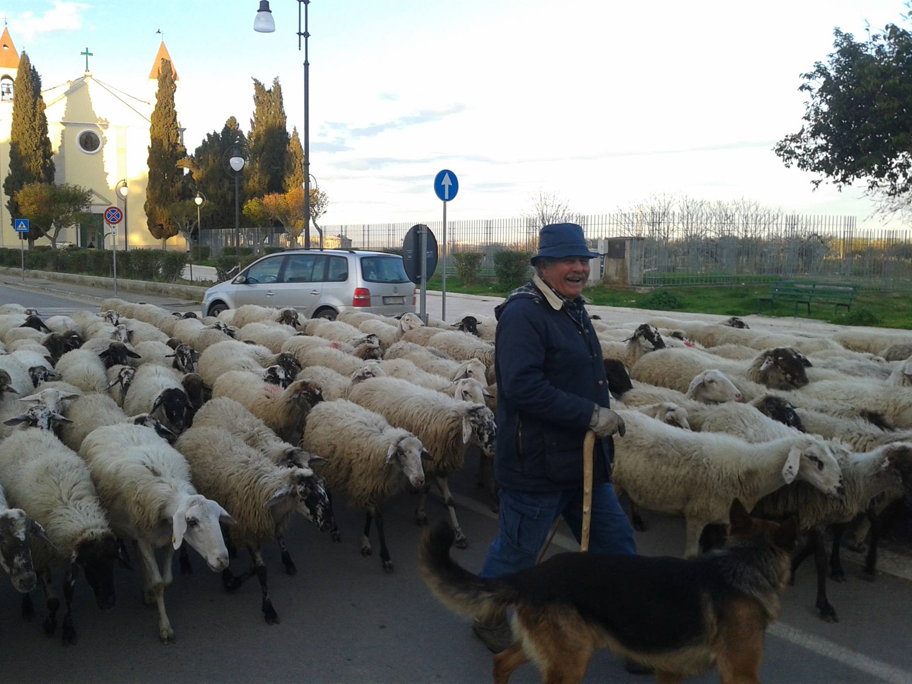 Pastore a Venosa