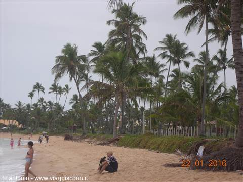 La spiaggia di Praia do Forte