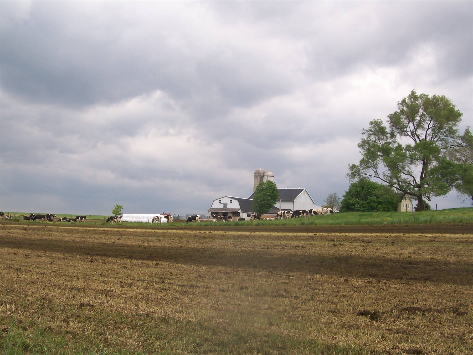 Dutch County,fattoria