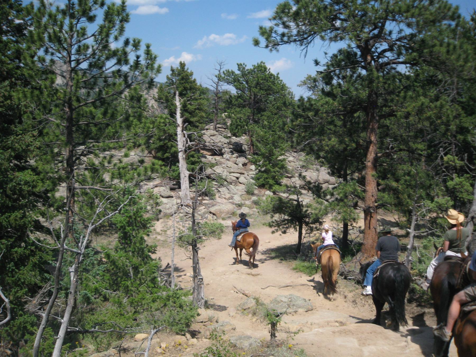 Trekking a cavallo sulle Rocky Mountains