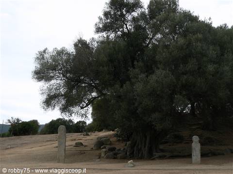 FILITOSA