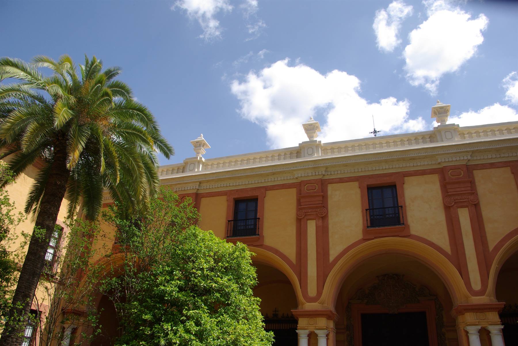 Palma e arcate ocra del Real Alcázar di Siviglia sotto cielo nuvoloso