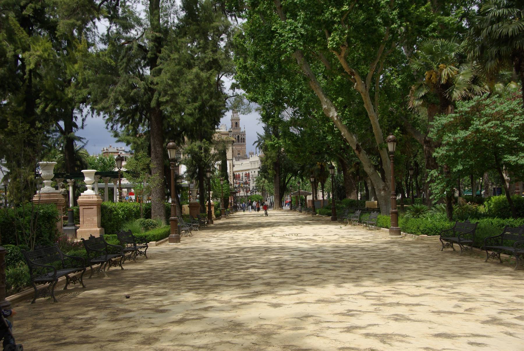 Viale alberato con panchine in ferro, in fondo la Giralda di Siviglia
