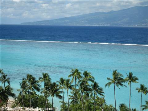 Moorea