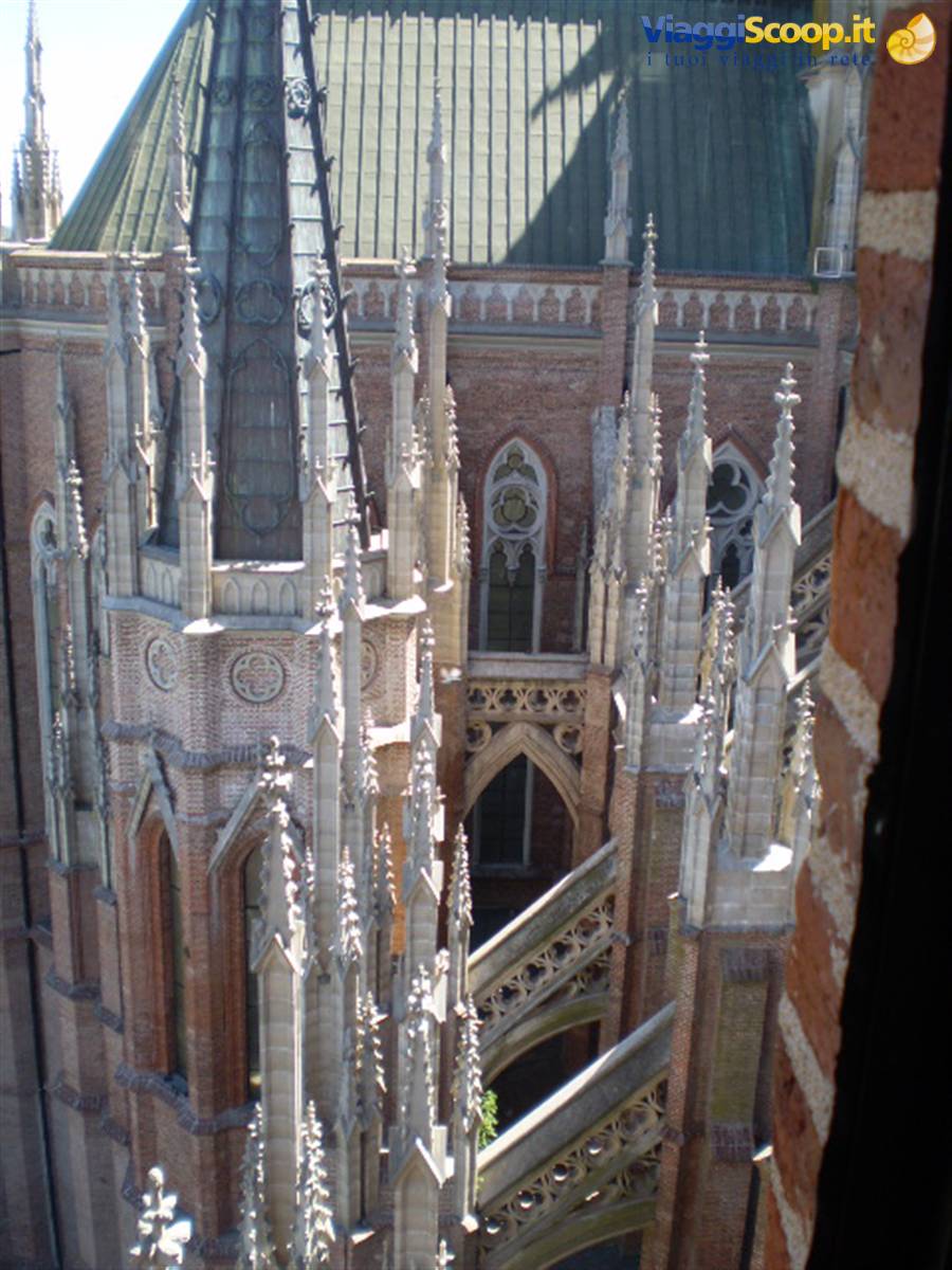 tetto,catedrale ,La Plata