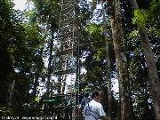struttura in alluminio per ammirare la jungla dall'alto della cima degli alberi