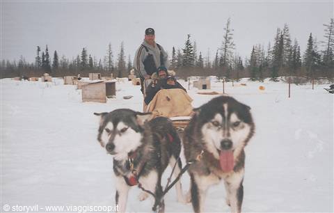 favoloso giro sul dogsled