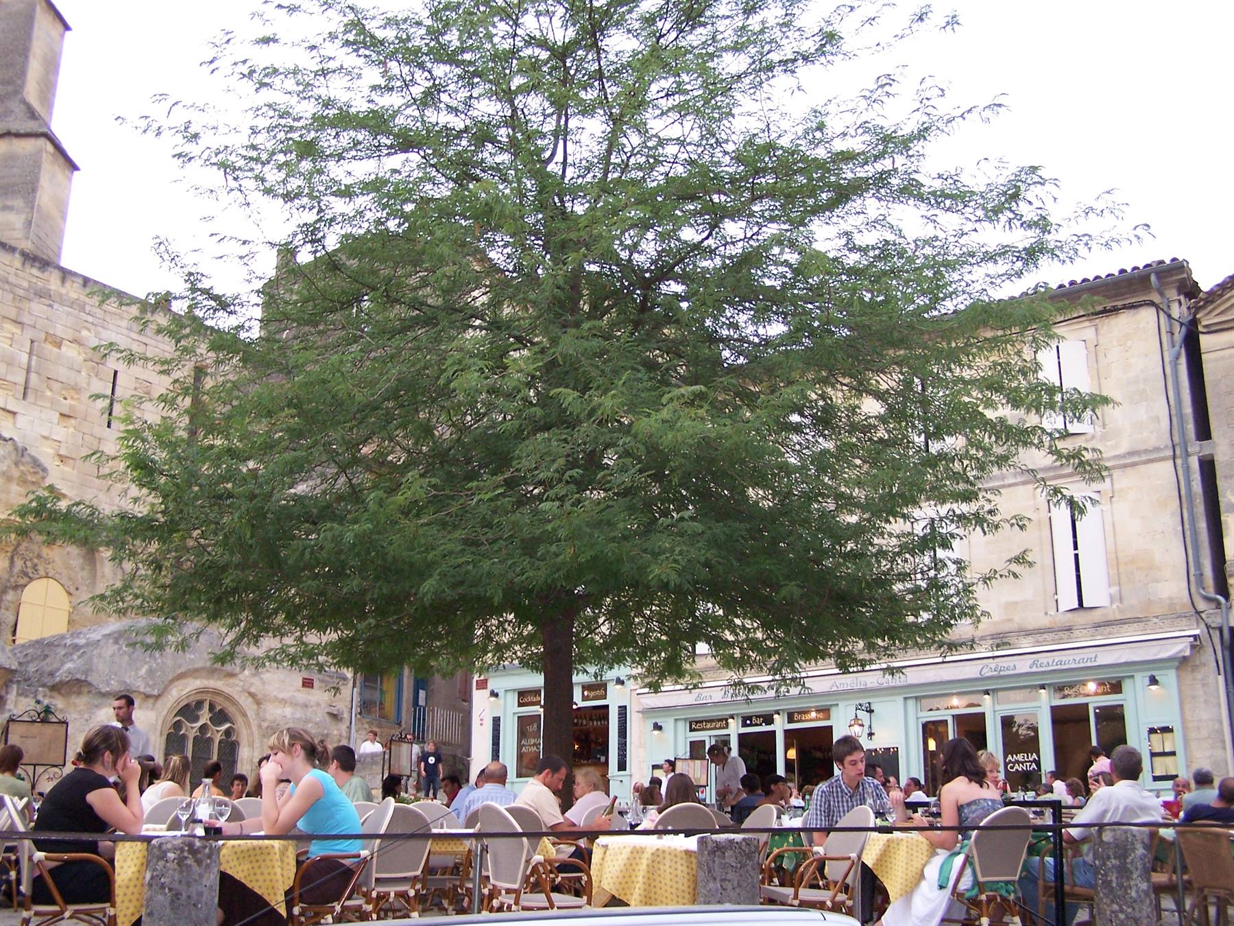 SAINT EMILION