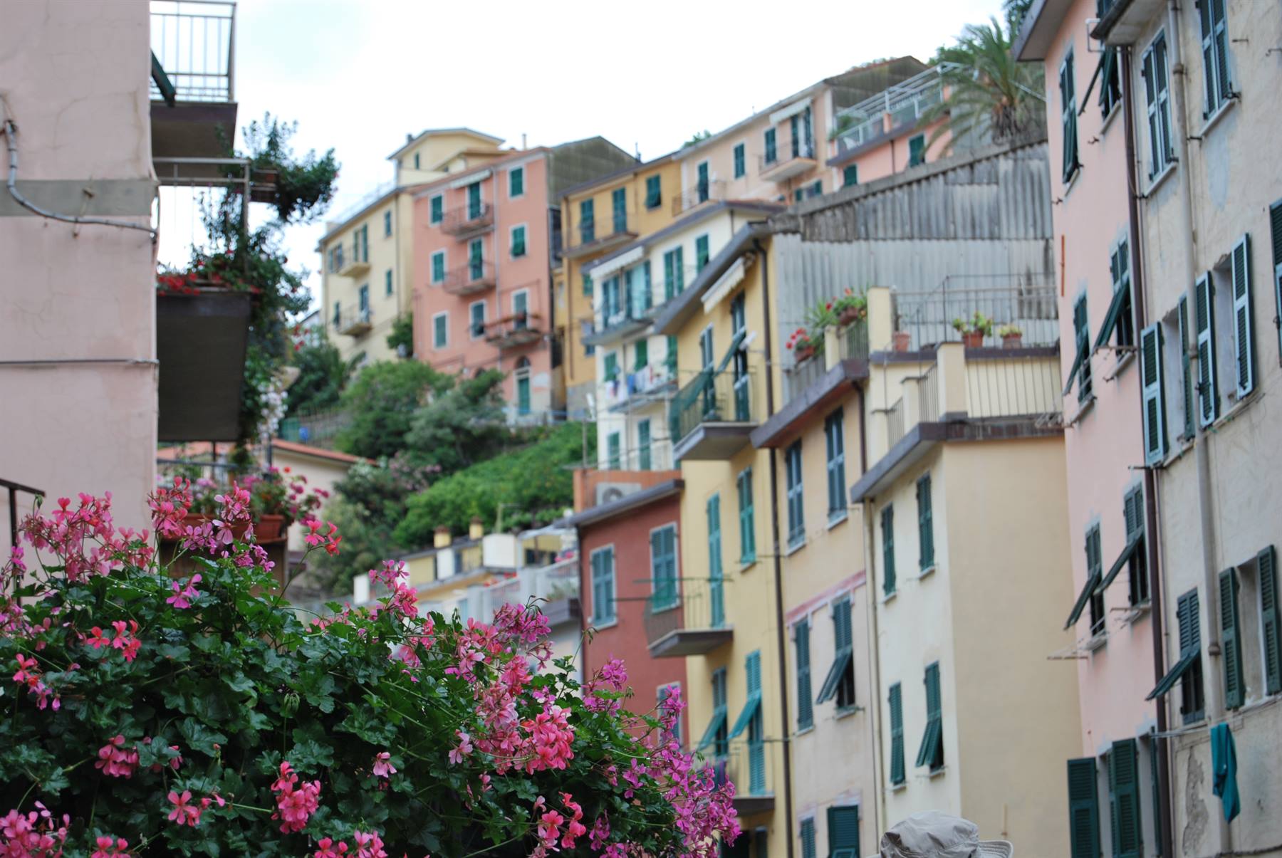 Riomaggiore