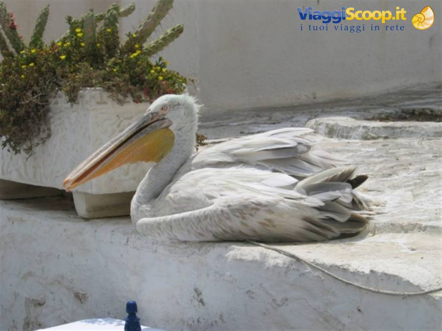 Foto di viaggio in GRECIA